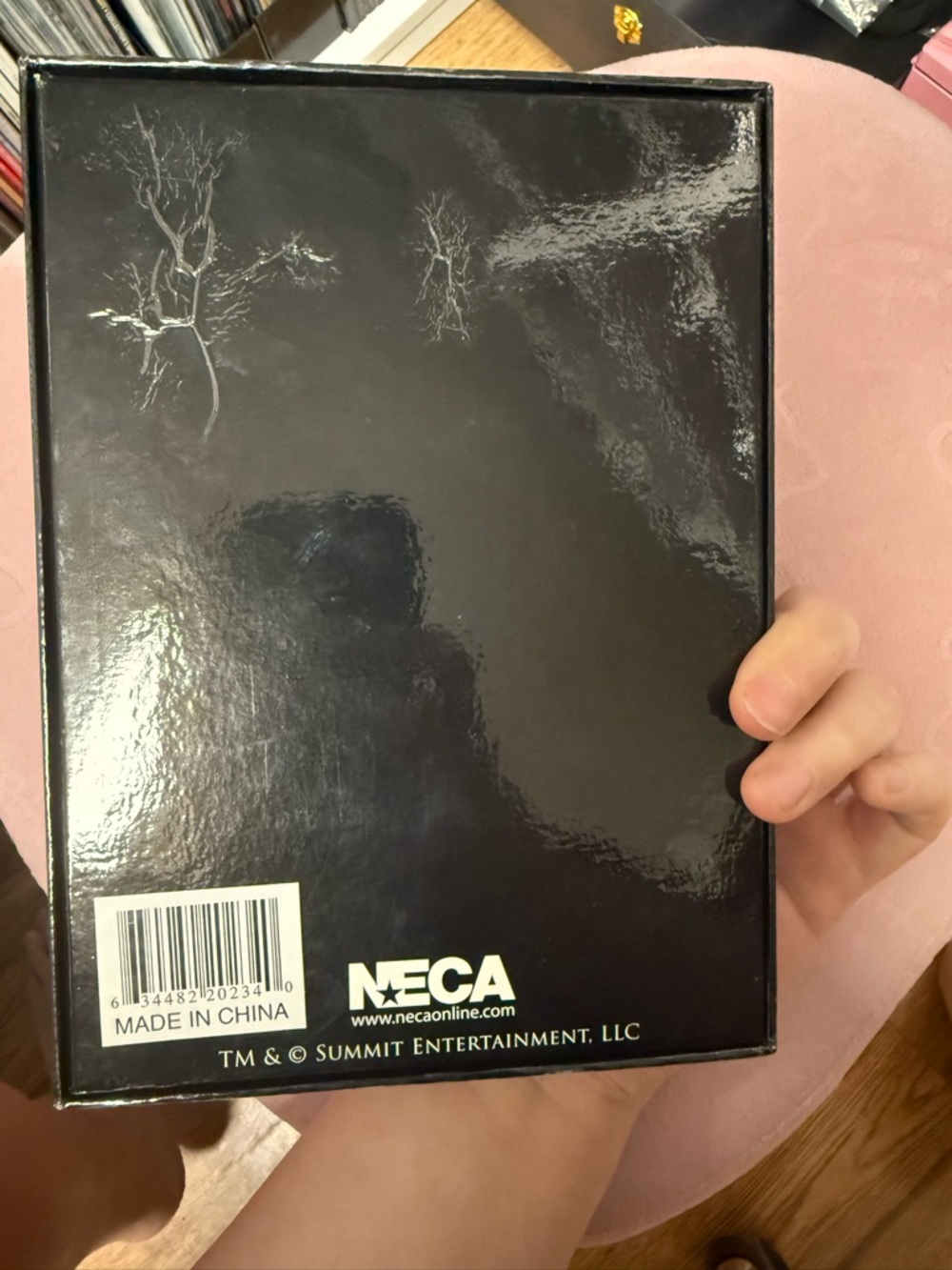 Twilight Saga Collector Lot - Books, DVDs & Extras - Picture 10 of 11